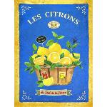 Blue Provencal Cotton Tea Towel, 19 x 26 inches, Lemon design