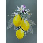 Grey Provencal Cotton Tea Towel, 19 x 26 inches, "Lemon" design