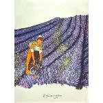 Provencal Kitchen Towel, 19 x 26 inches, Lavender Field design